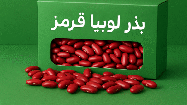 بذر لوبیا قرمز