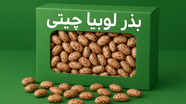 بذر لوبیا چیتی